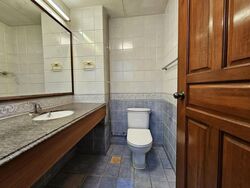 Gold Palm Mansion (D15), Apartment #575374821